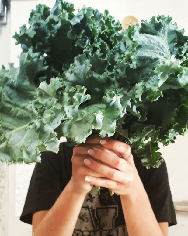 Westlander Kale