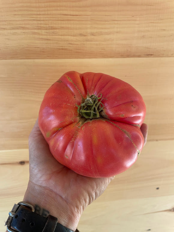 Brandywine Tomato
