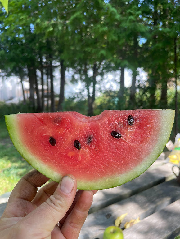 Ambrosia Watermelon