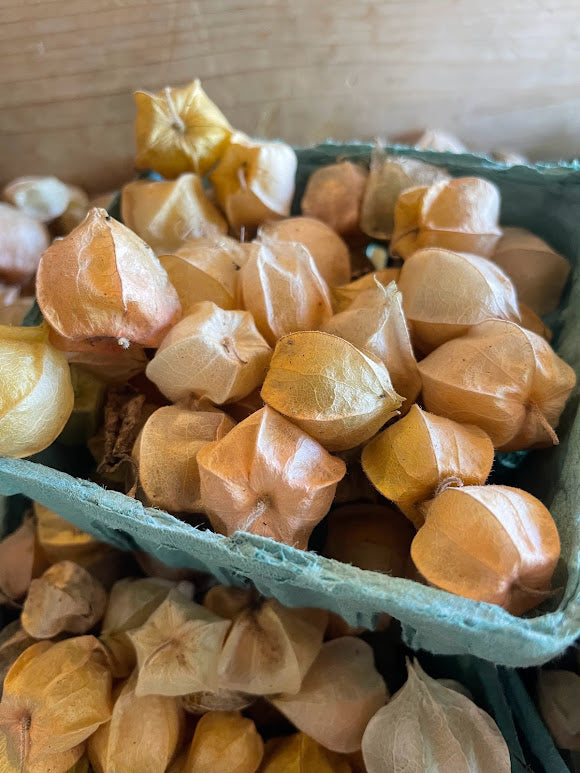 Ground Cherry - Cossack Pineapple