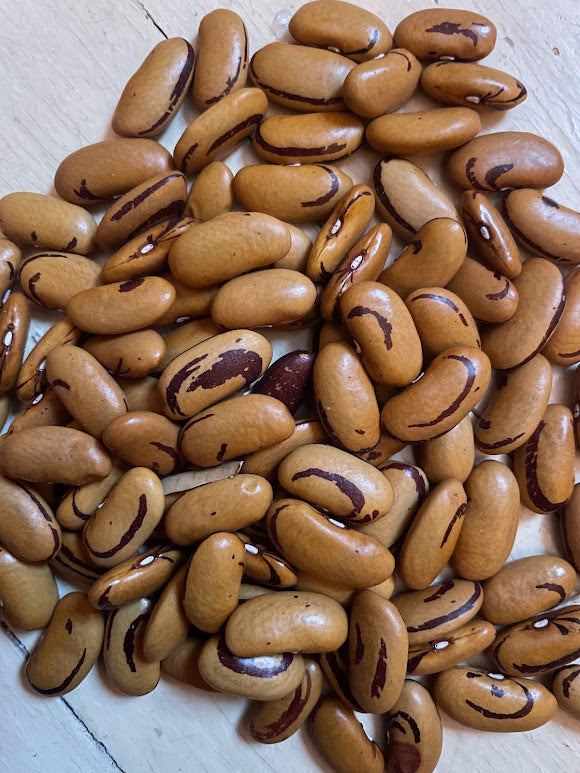 Tiger Eye Bean
