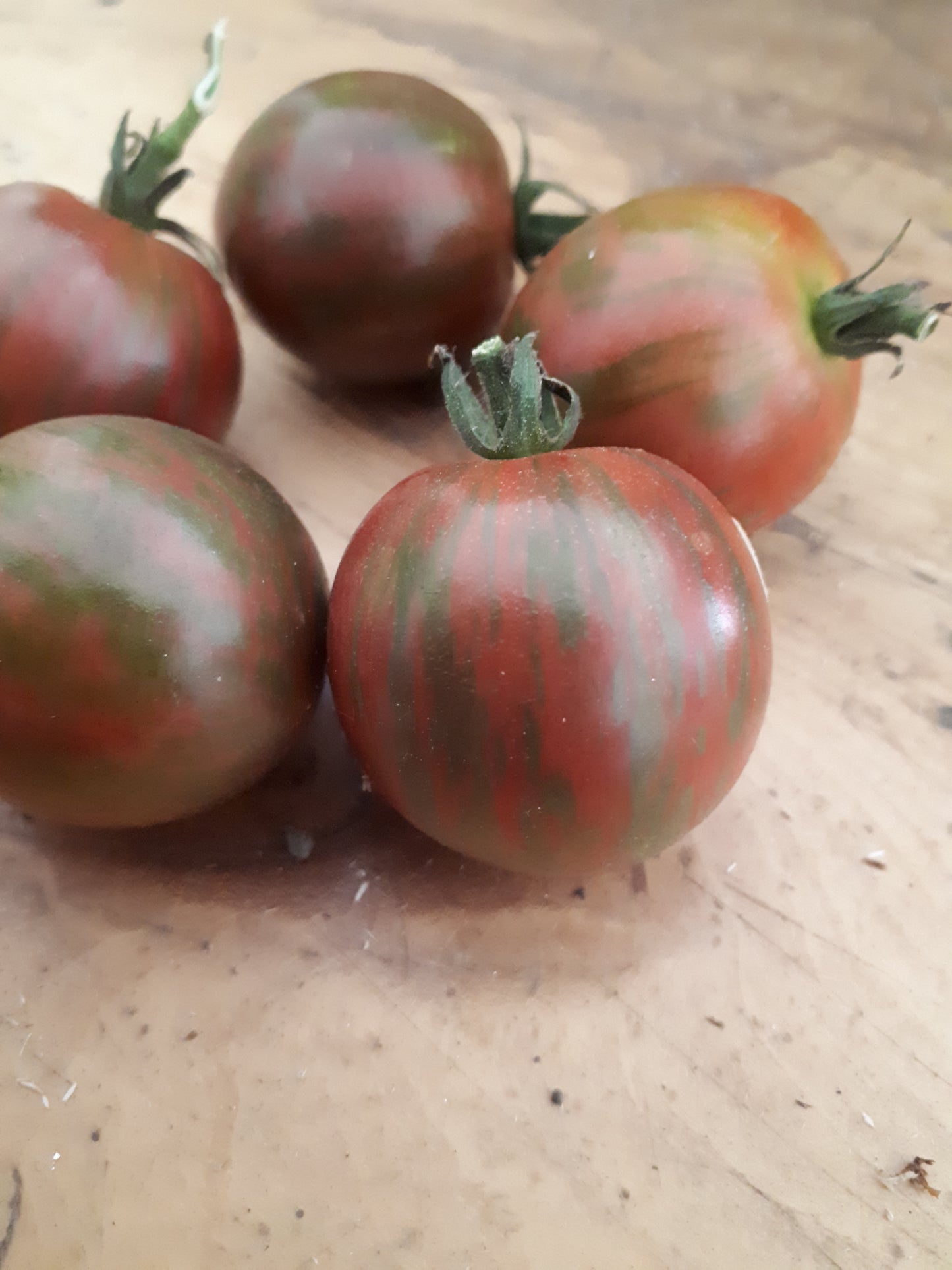Purple Bumblebee Cherry Tomato
