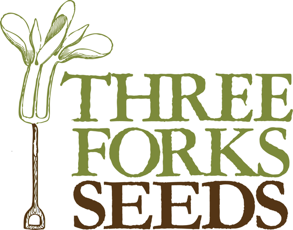 Three Forks Seeds