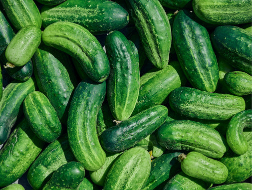 Little Leaf Cucumber