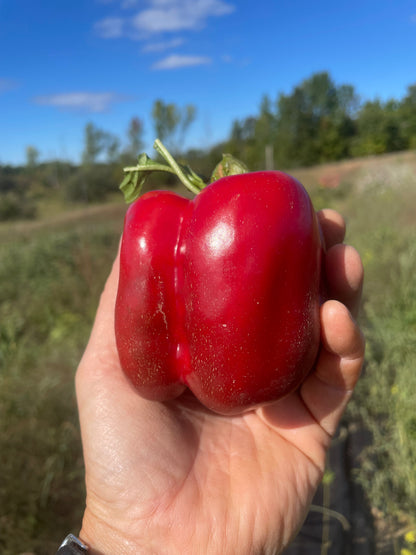 Renegade Red Pepper